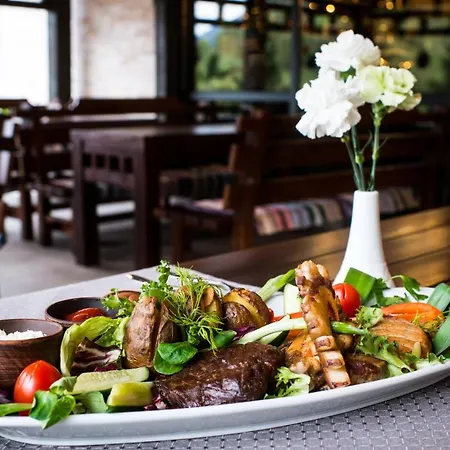 Hotel Carpat Dream *