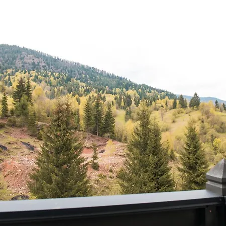 Carpat Dream Siněvir