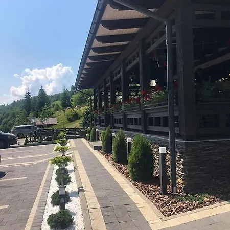 Carpat Dream Siněvir