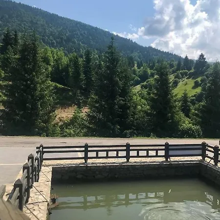 Carpat Dream Hotel Siněvir