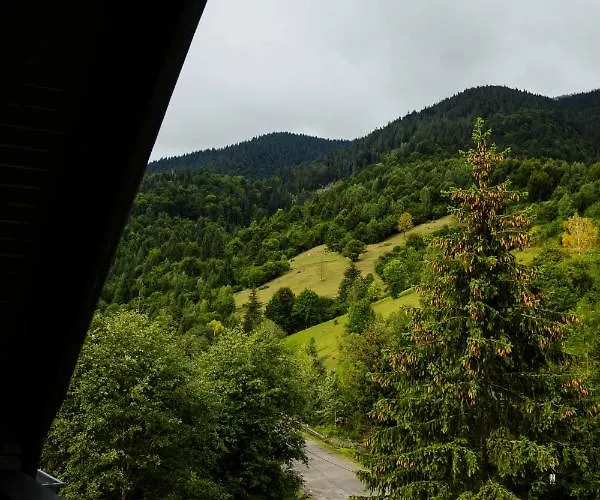 Hotel Carpat Dream *
